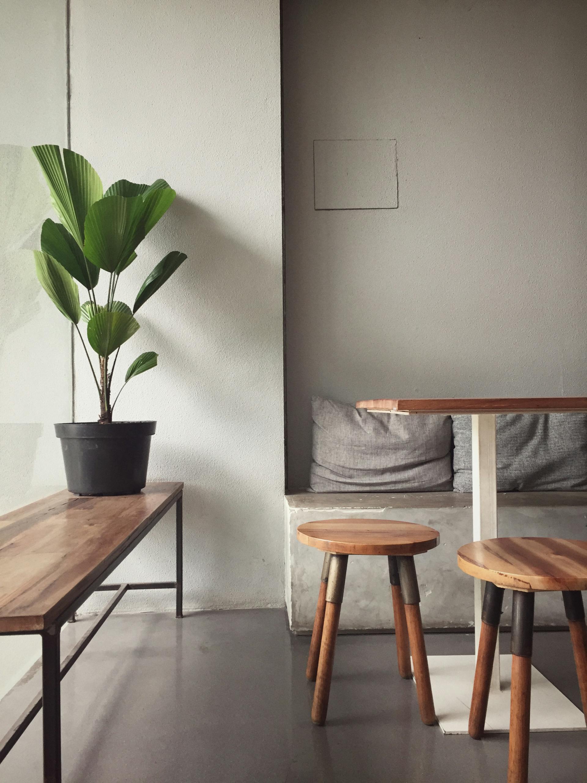 A minimalist, modern indoor seating area with wooden furniture and a potted plant, perfect for a cozy home interior.